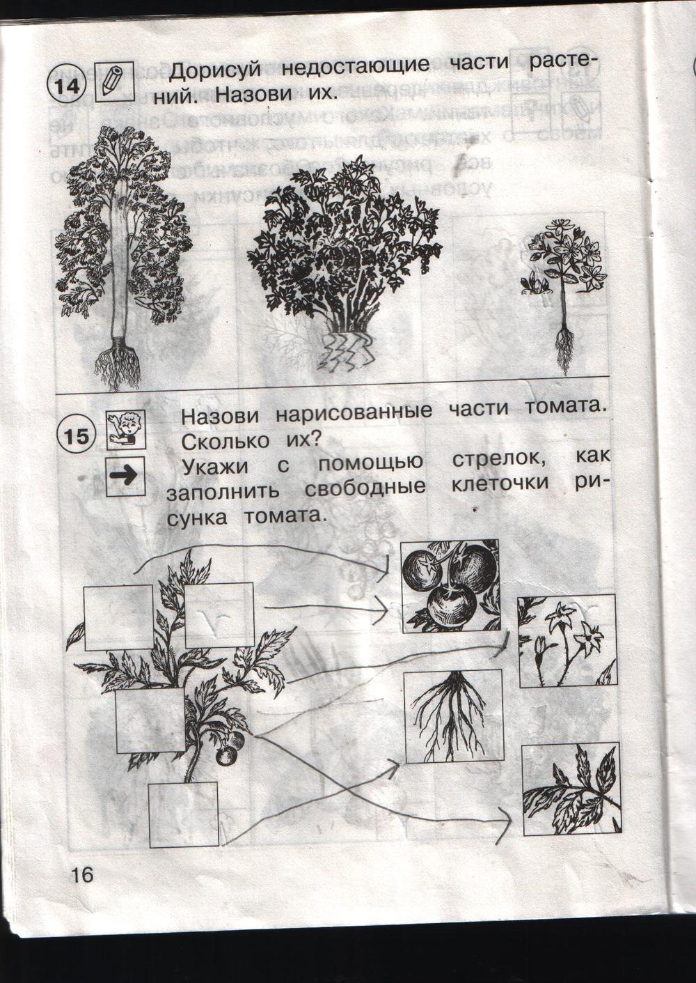 гдз 1 класс рабочая тетрадь страница 16 окружающий мир Федотова, Трофимова, Трафимов