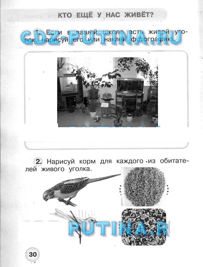 гдз 1 класс рабочая тетрадь часть 1 страница 30 окружающий мир Плешаков, Новицкая