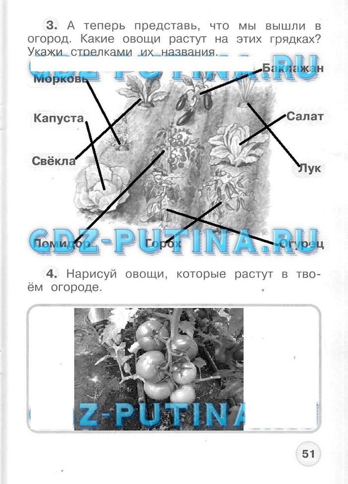 гдз 1 класс рабочая тетрадь часть 1 страница 51 окружающий мир Плешаков, Новицкая