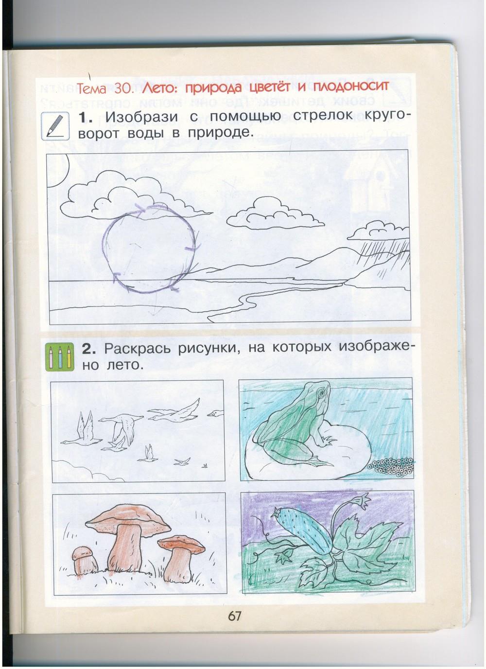 гдз 1 класс рабочая тетрадь страница 67 окружающий мир Вахрушев, Бурский, Раутиан