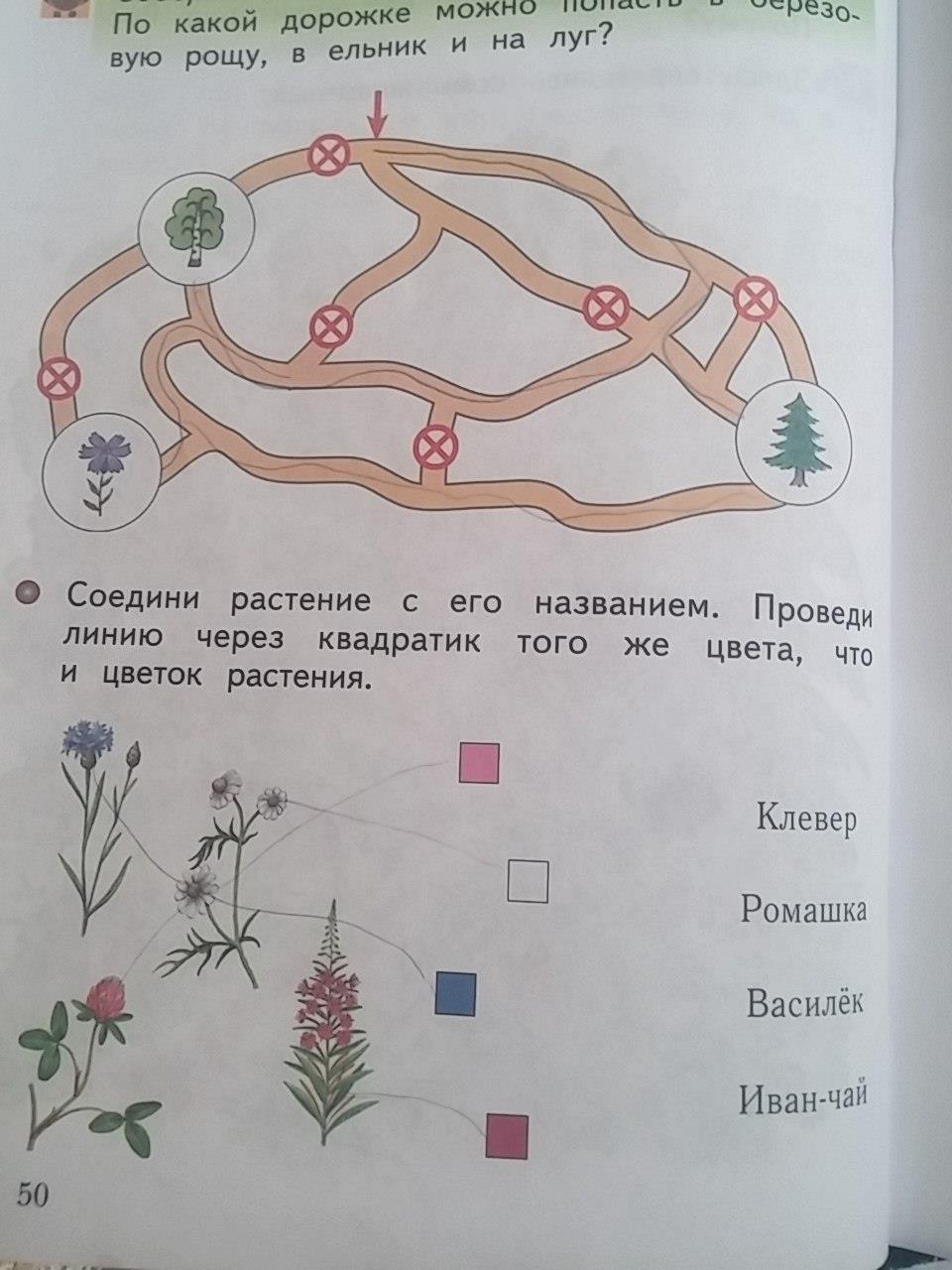 гдз 1 класс рабочая тетрадь страница 50 окружающий мир Виноградова