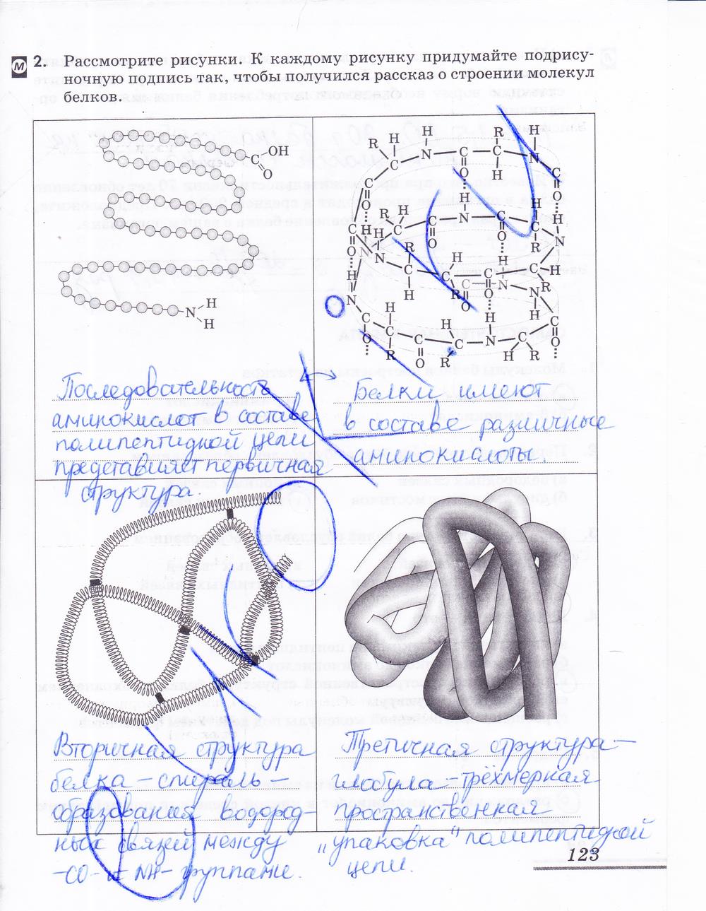гдз 10 класс рабочая тетрадь страница 123 химия Еремин, Дроздов