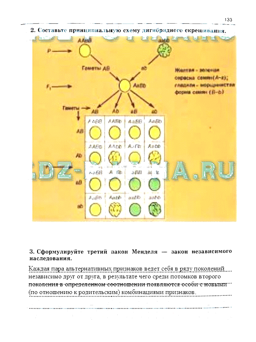 гдз 10 класс рабочая тетрадь часть 1 страница 133 биология Сивоглазов, Захарова