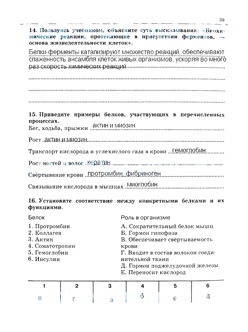 гдз 10 класс рабочая тетрадь часть 1 страница 39 биология Сивоглазов, Захарова
