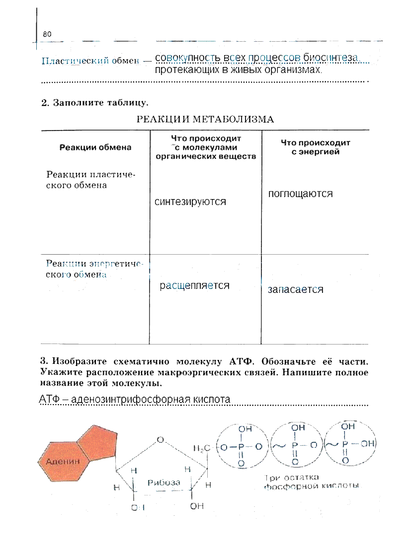 гдз 10 класс рабочая тетрадь часть 1 страница 80 биология Сивоглазов, Захарова