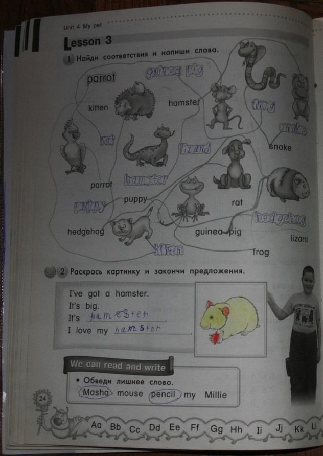 гдз 2 класс рабочая тетрадь страница 24 английский язык Азарова, Дружинина