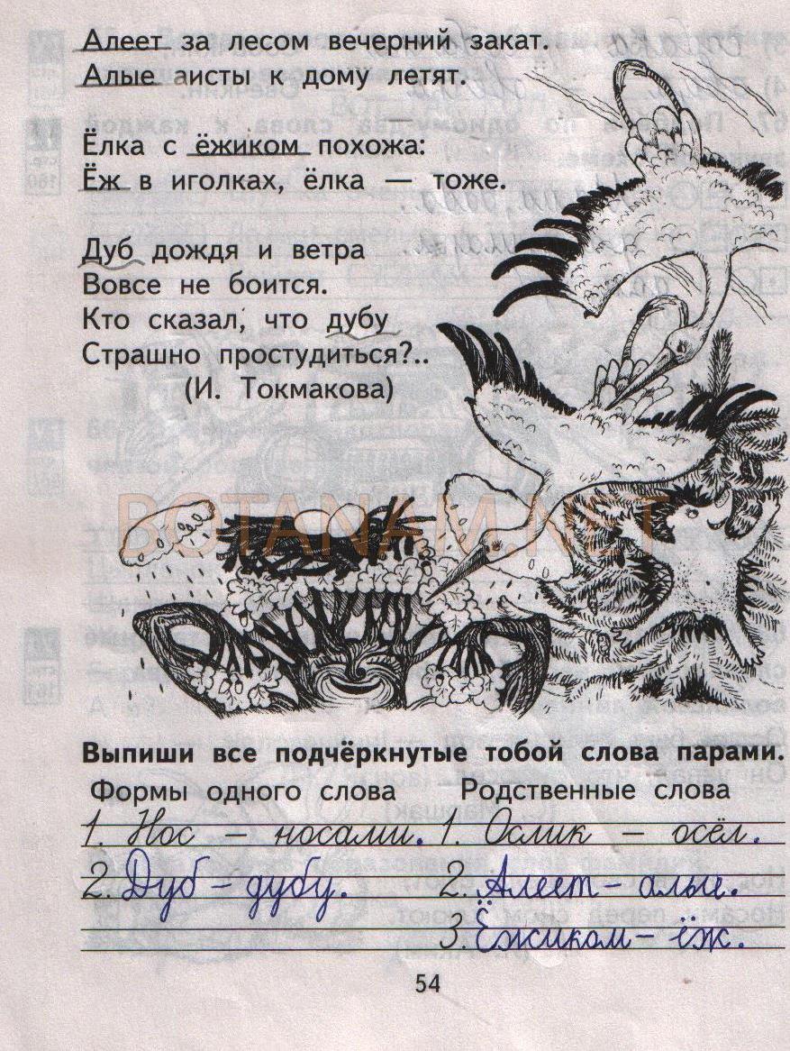 гдз 2 класс рабочая тетрадь часть 1 страница 54 русский язык Байкова, Малаховская