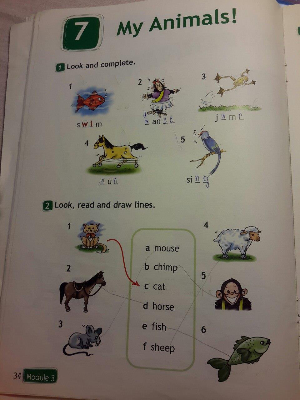 Английский язык 2 класс быкова страница 34