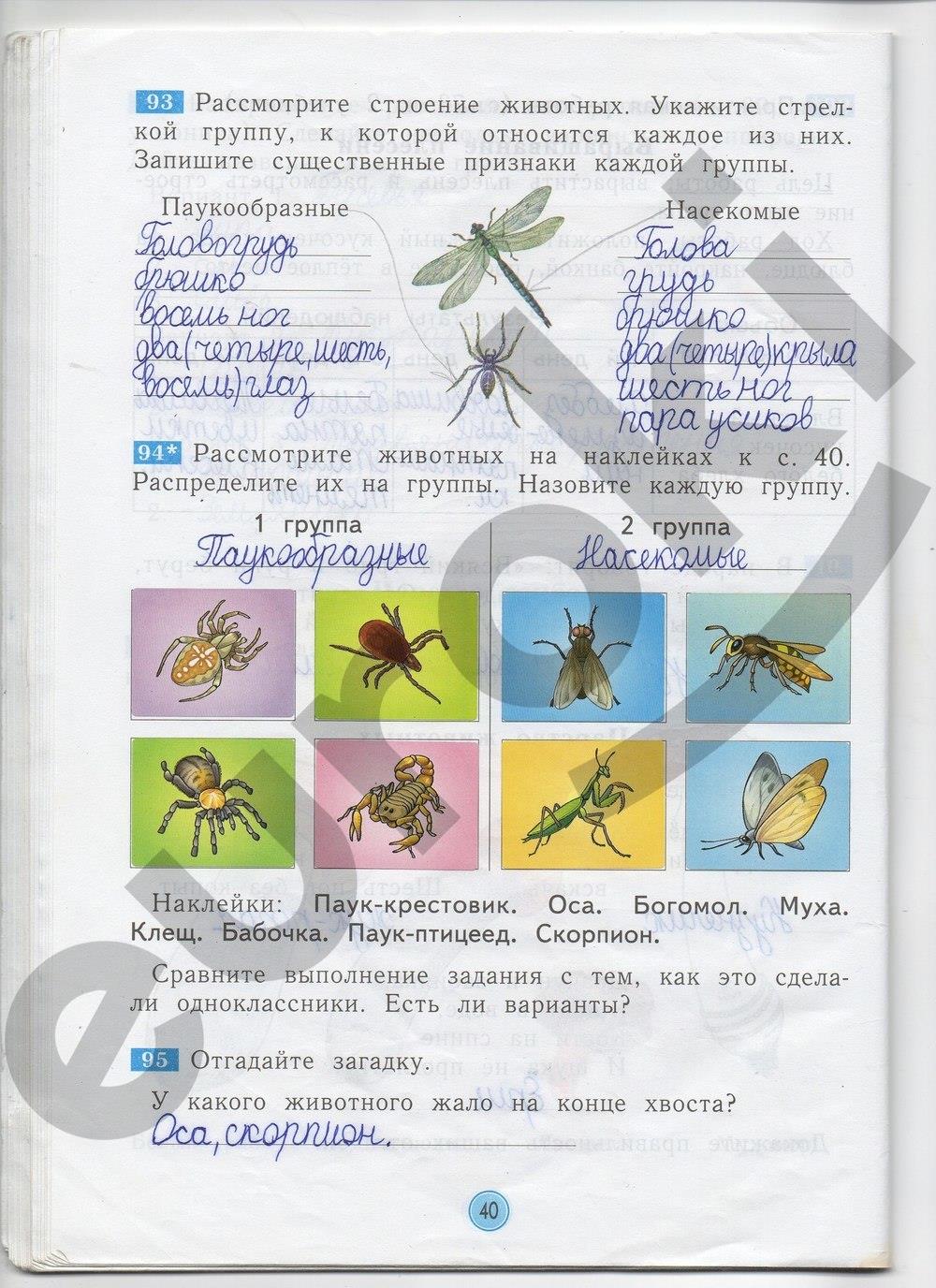 гдз 2 класс рабочая тетрадь страница 40 окружающий мир Дмитриева, Казаков
