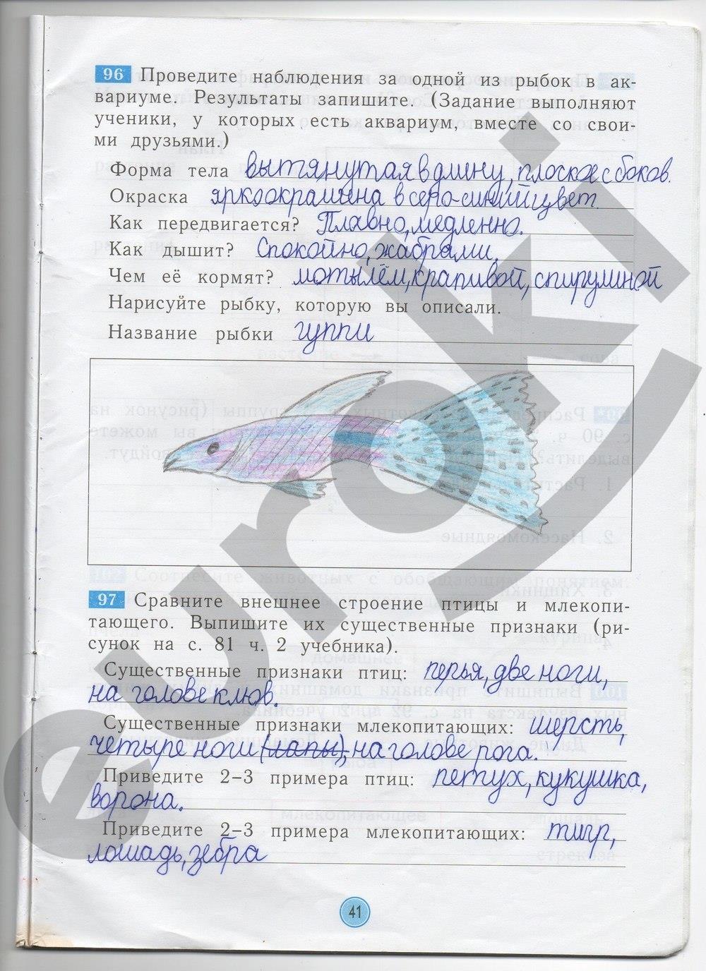 гдз 2 класс рабочая тетрадь страница 41 окружающий мир Дмитриева, Казаков