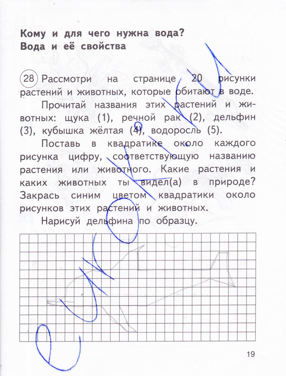 гдз 2 класс рабочая тетрадь часть 1 страница 19 окружающий мир Федотова, Трафимова