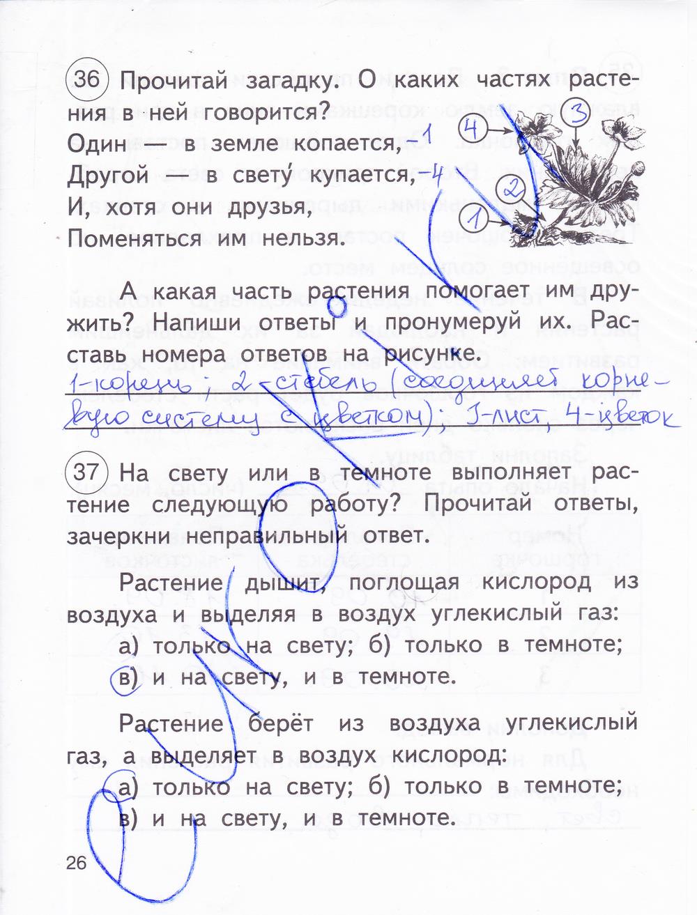 гдз 2 класс рабочая тетрадь часть 1 страница 26 окружающий мир Федотова, Трафимова
