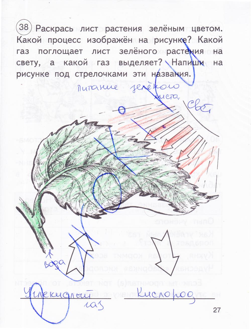 гдз 2 класс рабочая тетрадь часть 1 страница 27 окружающий мир Федотова, Трафимова