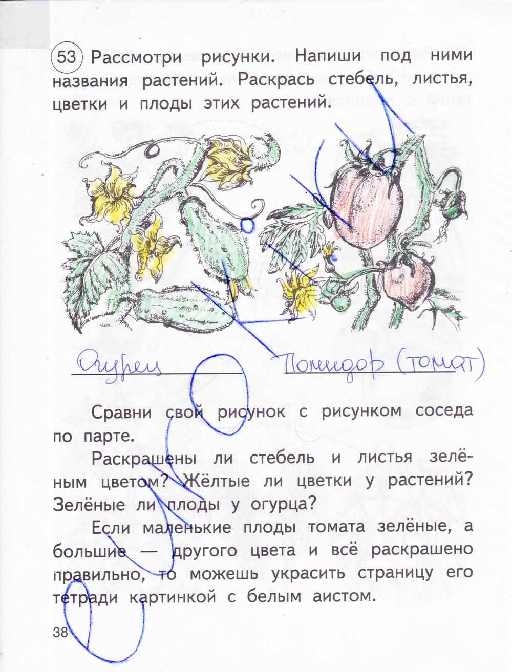 гдз 2 класс рабочая тетрадь часть 1 страница 38 окружающий мир Федотова, Трафимова