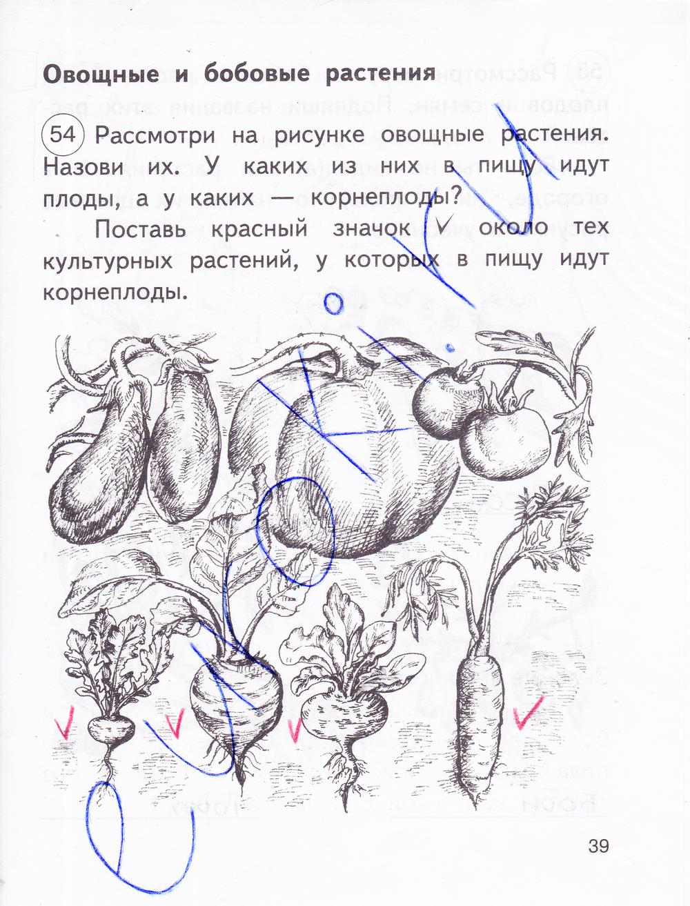 гдз 2 класс рабочая тетрадь часть 1 страница 39 окружающий мир Федотова, Трафимова