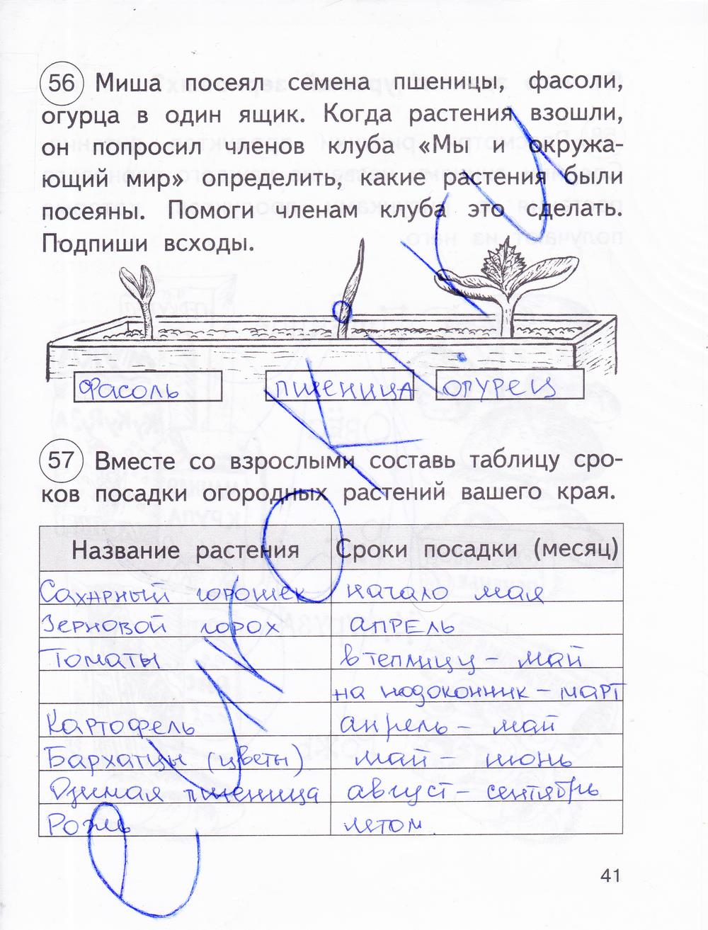 гдз 2 класс рабочая тетрадь часть 1 страница 41 окружающий мир Федотова, Трафимова