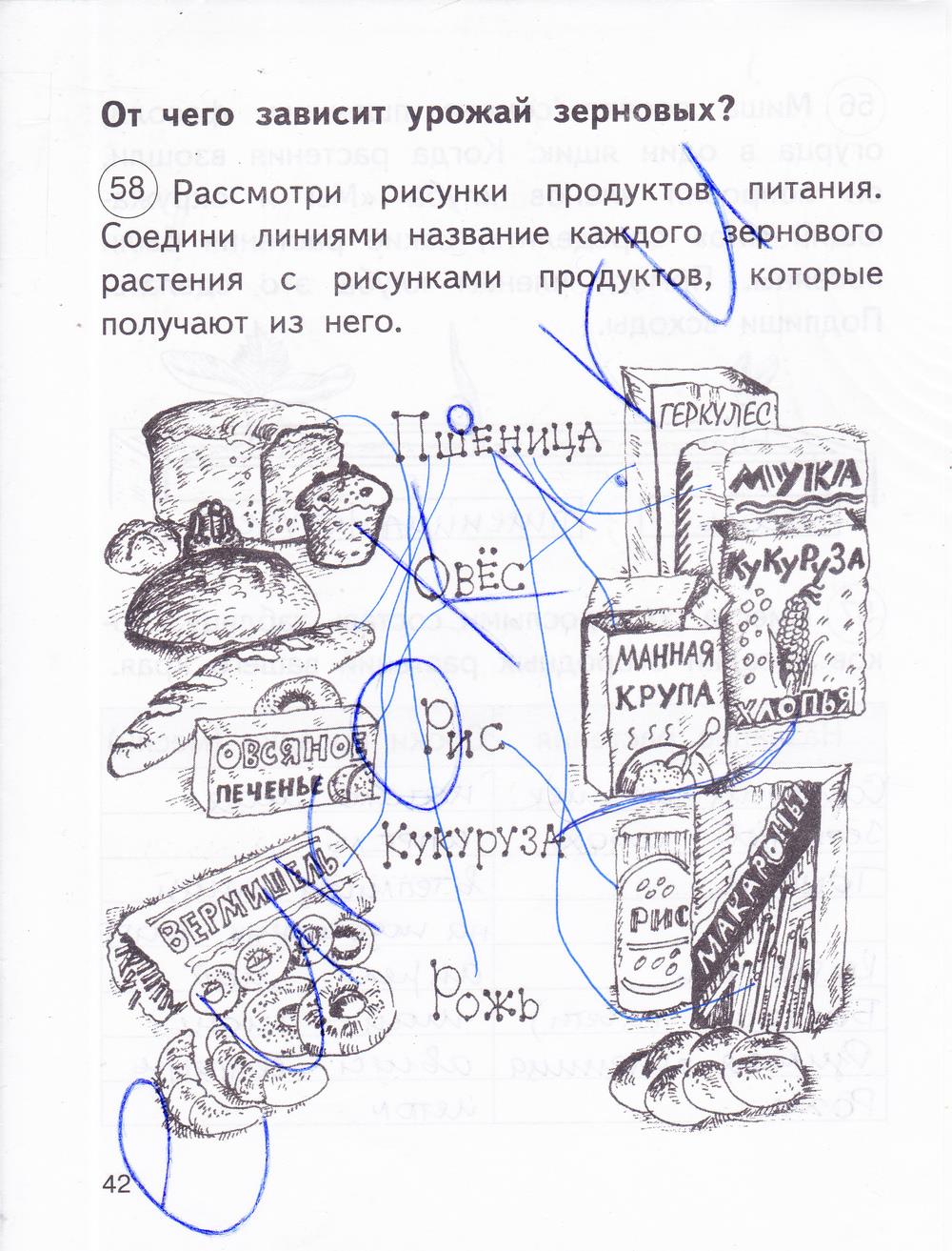 гдз 2 класс рабочая тетрадь часть 1 страница 42 окружающий мир Федотова, Трафимова