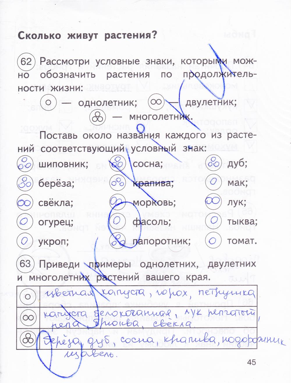 гдз 2 класс рабочая тетрадь часть 1 страница 45 окружающий мир Федотова, Трафимова