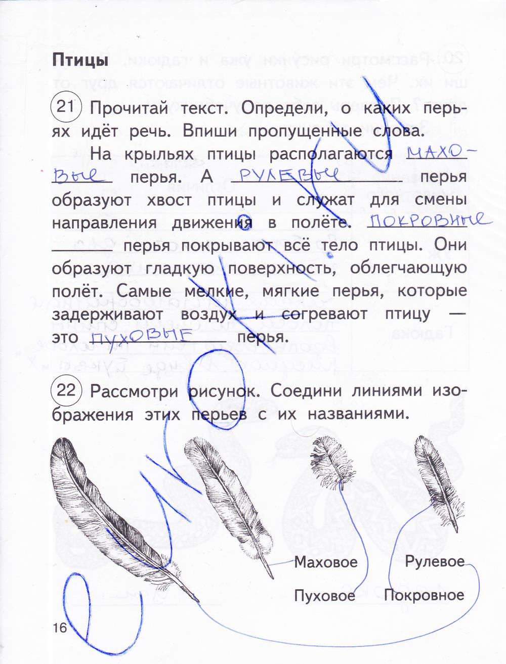 гдз 2 класс рабочая тетрадь часть 2 страница 16 окружающий мир Федотова, Трафимова