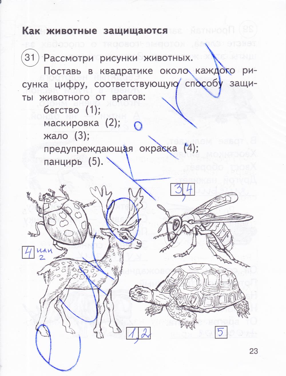 гдз 2 класс рабочая тетрадь часть 2 страница 23 окружающий мир Федотова, Трафимова