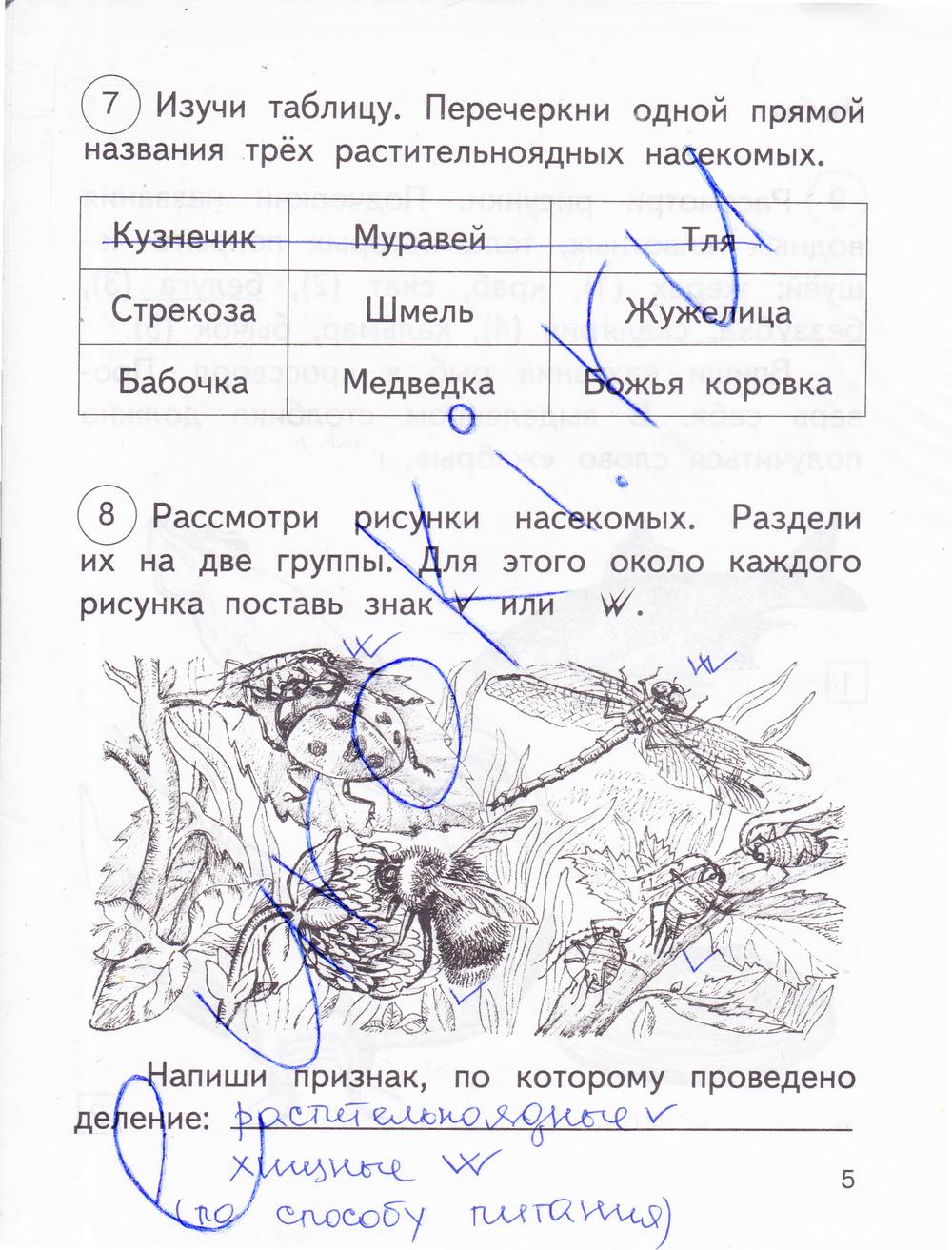гдз 2 класс рабочая тетрадь часть 2 страница 5 окружающий мир Федотова, Трафимова