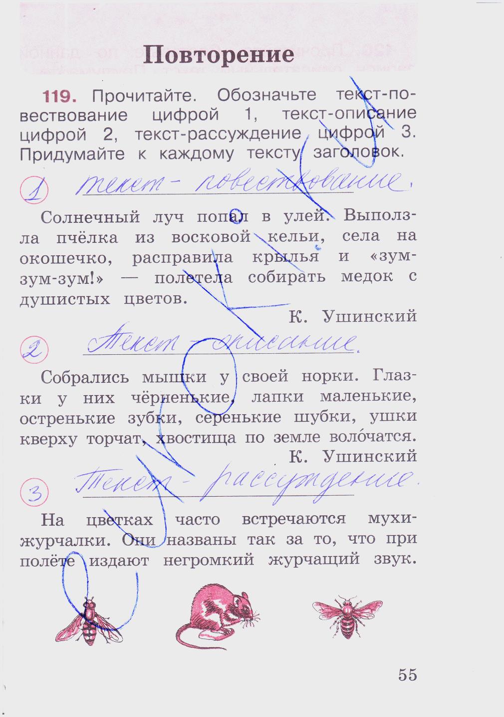 гдз 2 класс рабочая тетрадь часть 2 страница 55 русский язык Канакина