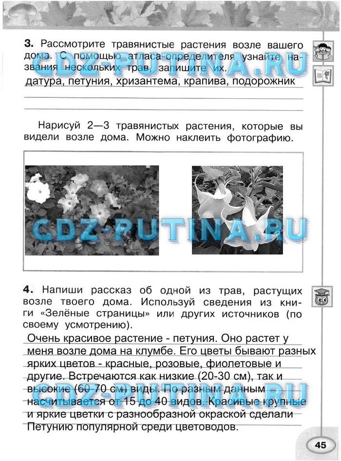 гдз 2 класс рабочая тетрадь часть 1 страница 45 окружающий мир Плешаков, Новицкая