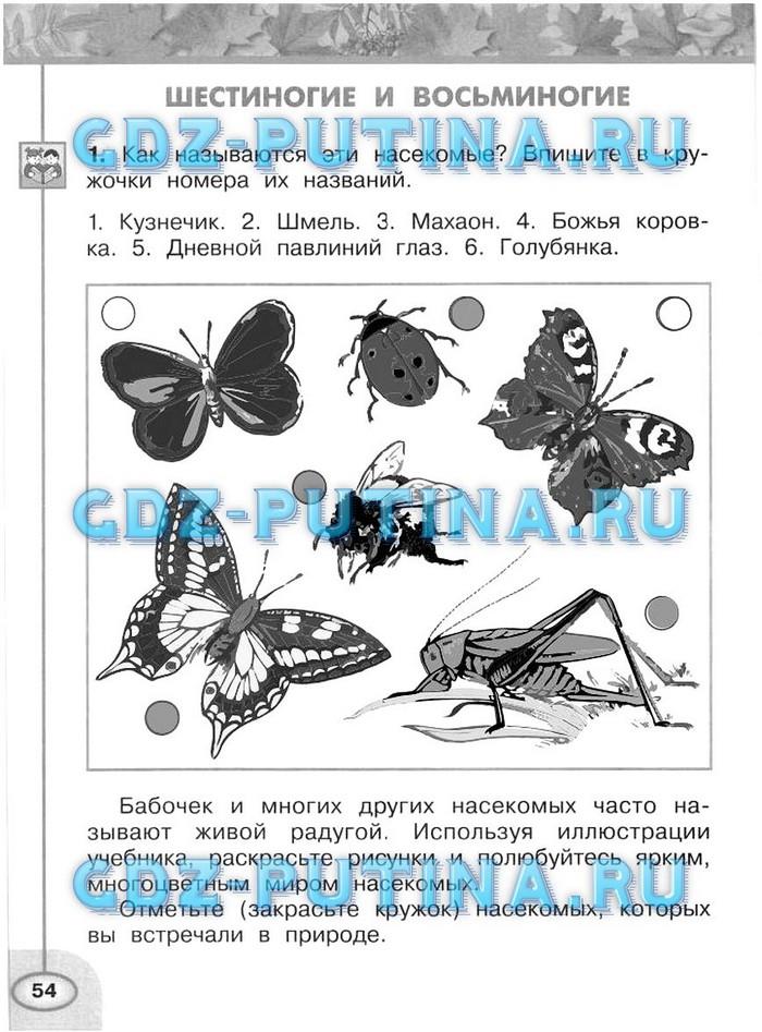 гдз 2 класс рабочая тетрадь часть 1 страница 54 окружающий мир Плешаков, Новицкая