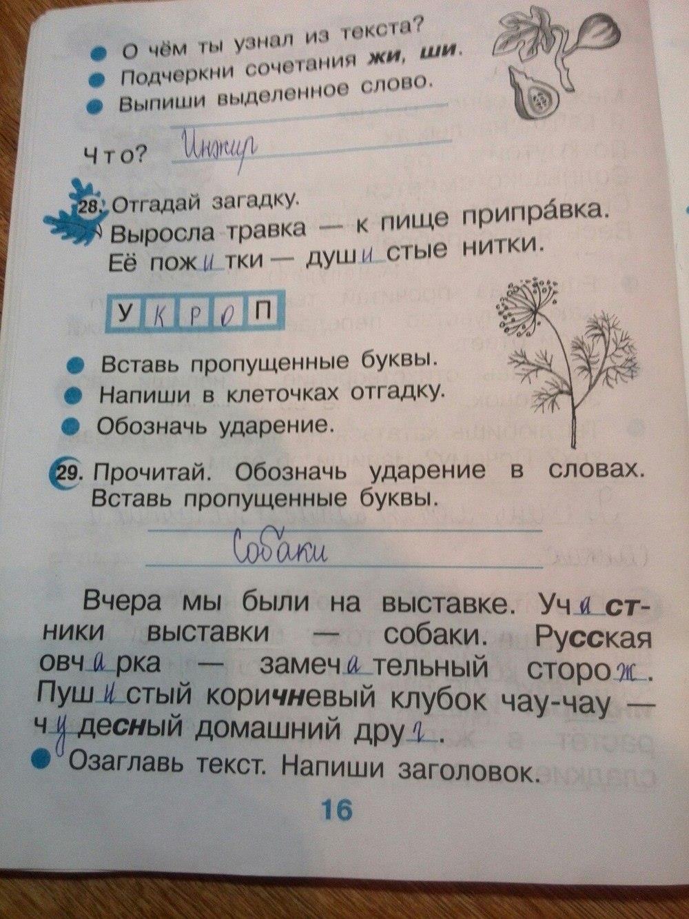 гдз 2 класс рабочая тетрадь страница 16 русский язык Рамзаева, Савинкина
