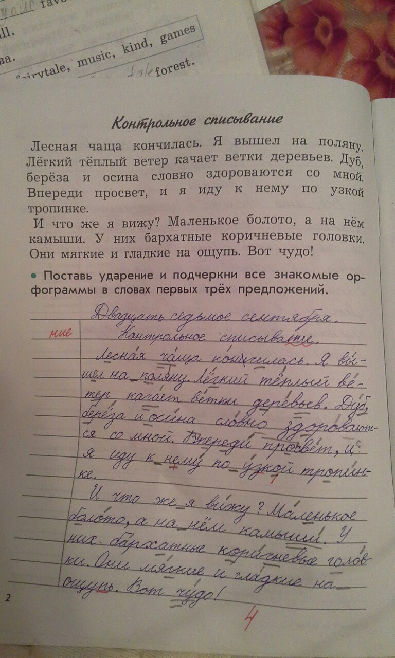 гдз 3 класс рабочая тетрадь страница 2 русский язык Бунеева