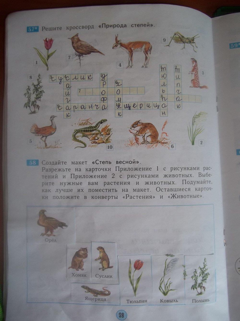 гдз 3 класс рабочая тетрадь страница 28 окружающий мир Дмитриева, Казаков