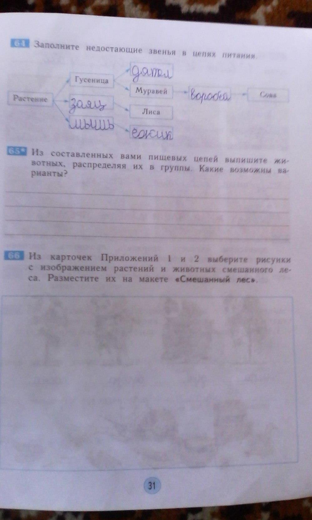 гдз 3 класс рабочая тетрадь страница 31 окружающий мир Дмитриева, Казаков