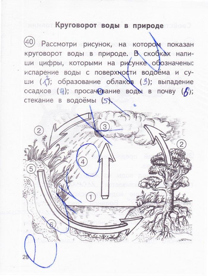 гдз 3 класс рабочая тетрадь часть 1 страница 28 окружающий мир Федотова, Трафимова