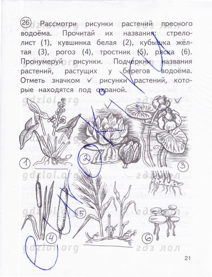 гдз 3 класс рабочая тетрадь часть 2 страница 21 окружающий мир Федотова, Трафимова