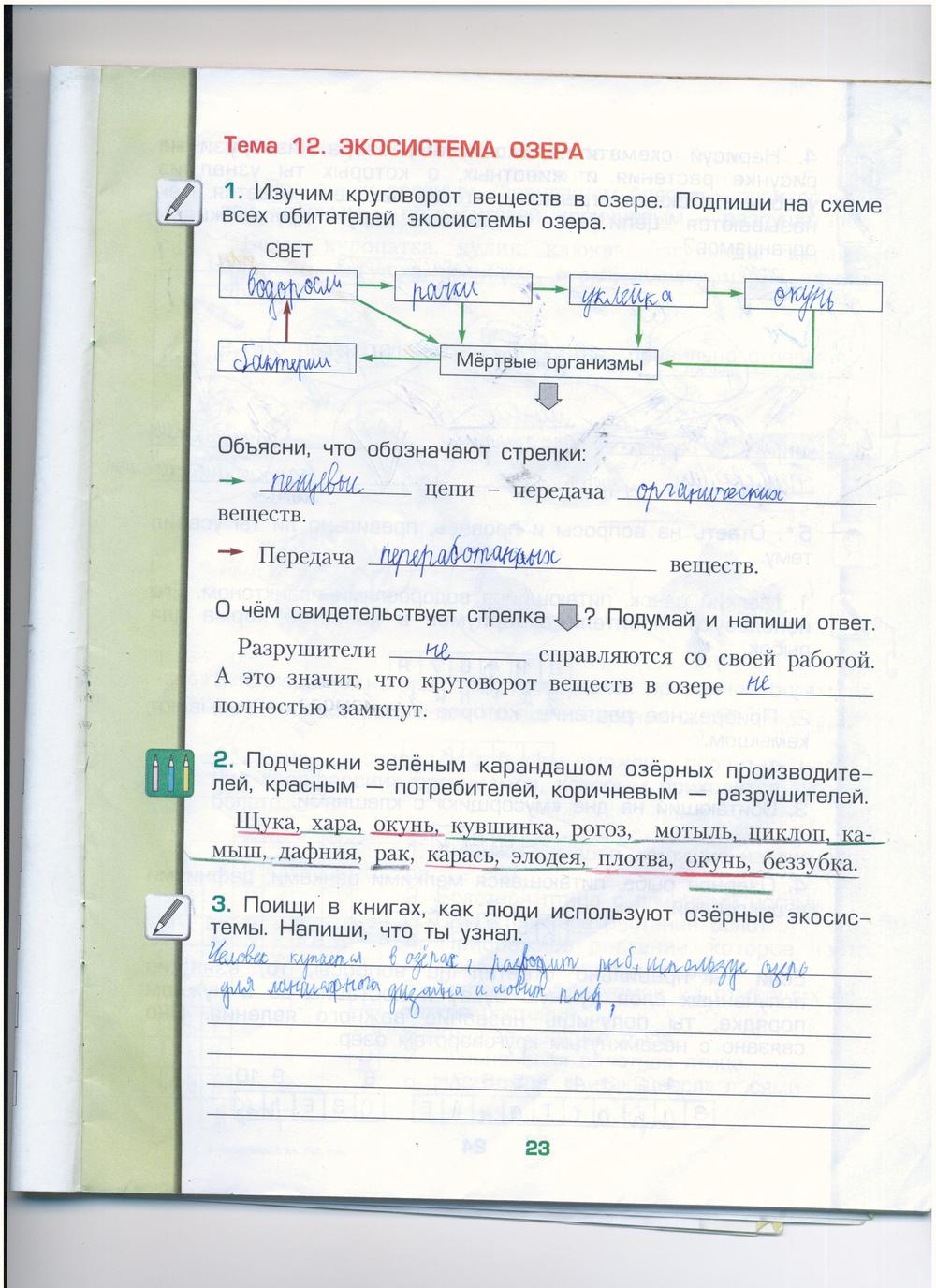 гдз 3 класс рабочая тетрадь часть 1 страница 23 окружающий мир Вахрушев, Бурский, Раутиан