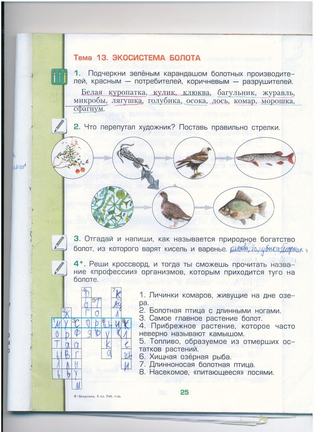 гдз 3 класс рабочая тетрадь часть 1 страница 25 окружающий мир Вахрушев, Бурский, Раутиан