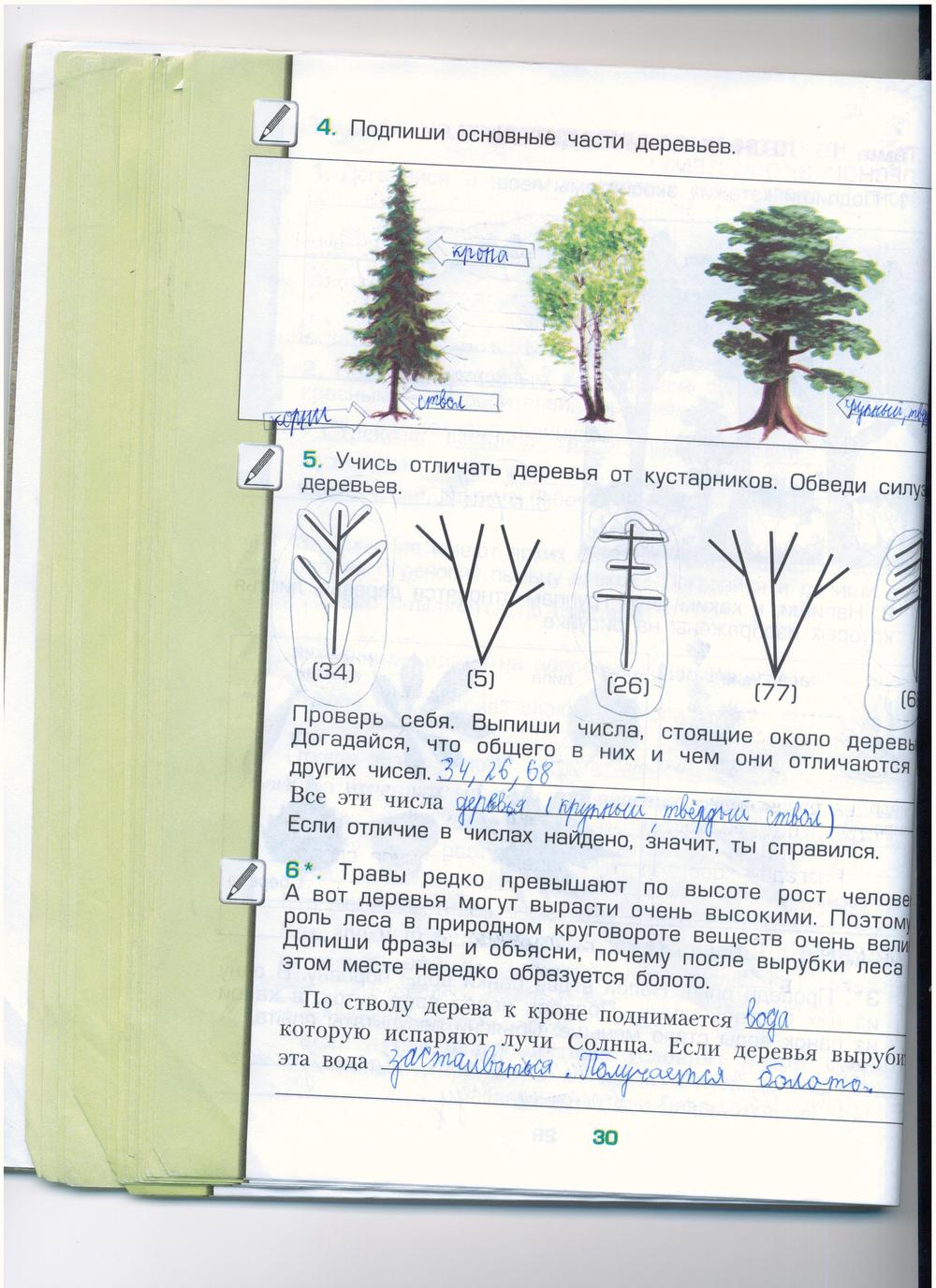 гдз 3 класс рабочая тетрадь часть 1 страница 30 окружающий мир Вахрушев, Бурский, Раутиан