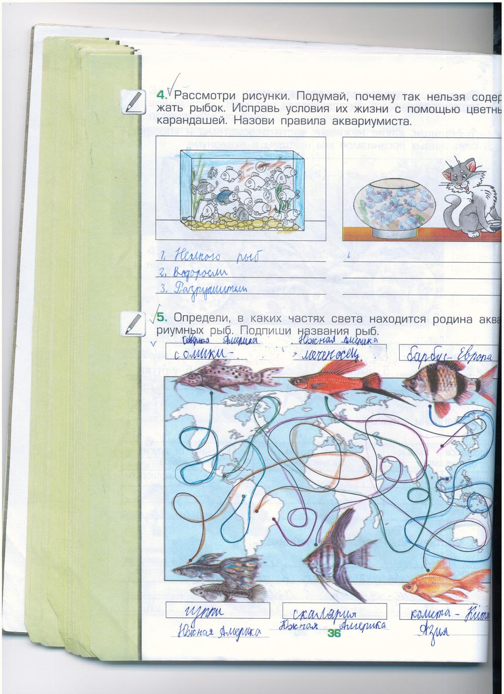 гдз 3 класс рабочая тетрадь часть 1 страница 36 окружающий мир Вахрушев, Бурский, Раутиан