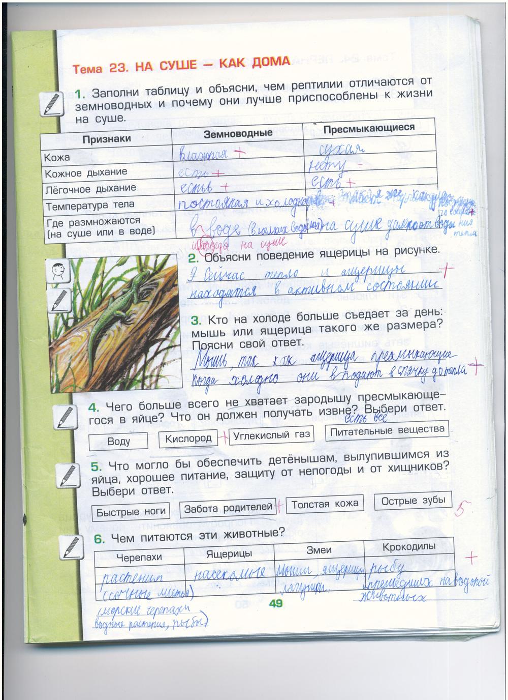 гдз 3 класс рабочая тетрадь часть 1 страница 49 окружающий мир Вахрушев, Бурский, Раутиан