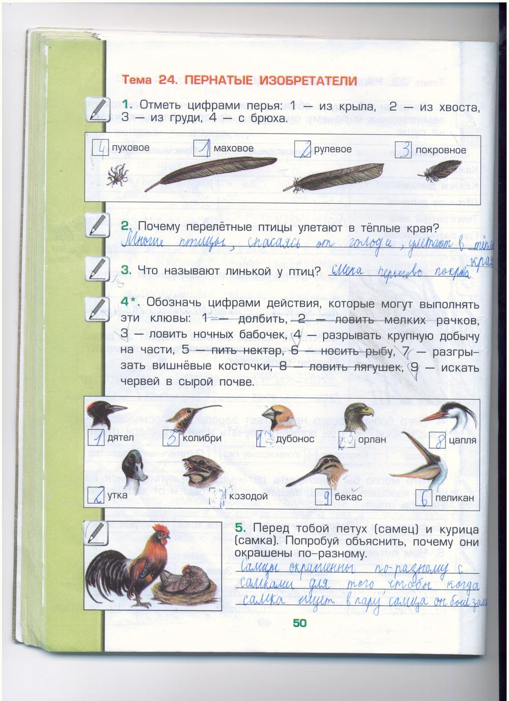 гдз 3 класс рабочая тетрадь часть 1 страница 50 окружающий мир Вахрушев, Бурский, Раутиан