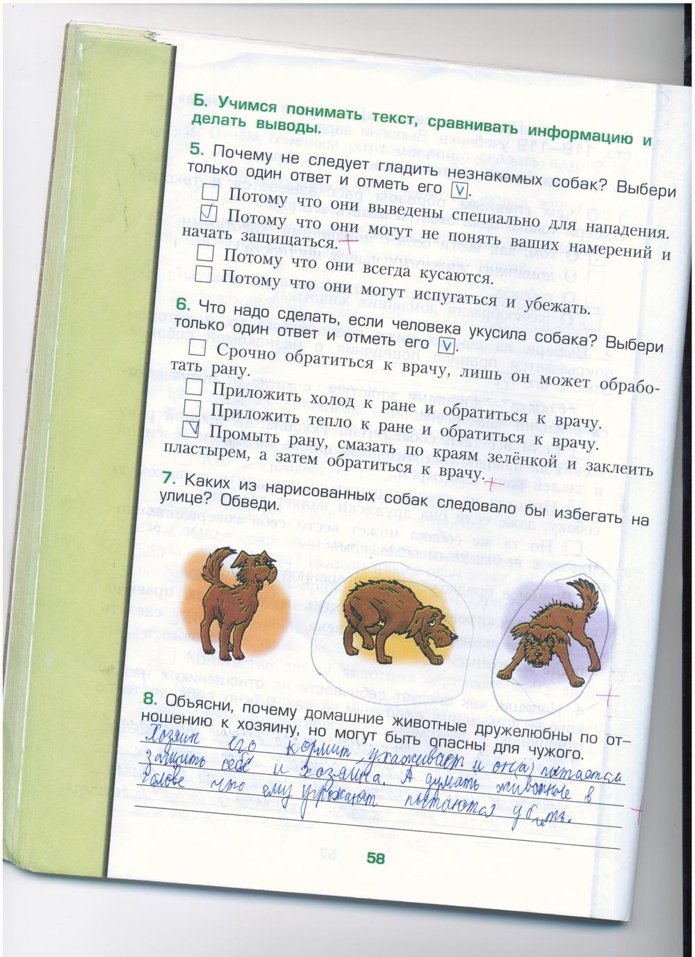 гдз 3 класс рабочая тетрадь часть 1 страница 58 окружающий мир Вахрушев, Бурский, Раутиан