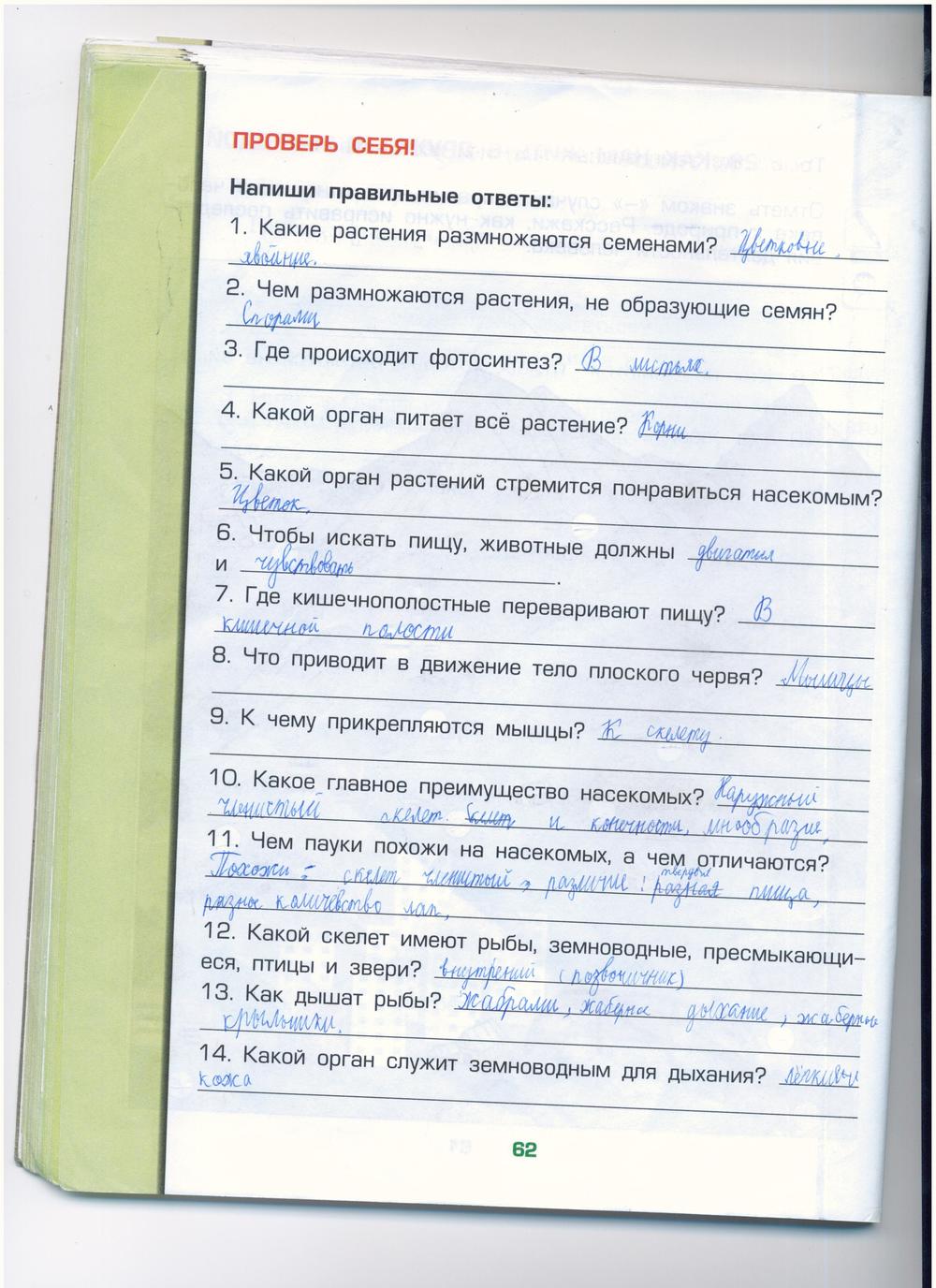 гдз 3 класс рабочая тетрадь часть 1 страница 62 окружающий мир Вахрушев, Бурский, Раутиан