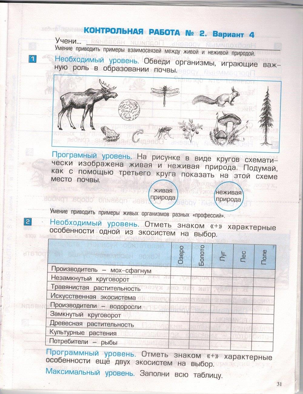 гдз 3 класс проверочные и контрольные работы часть 1 страница 31 окружающий мир Вахрушев, Бурский, Родыгина