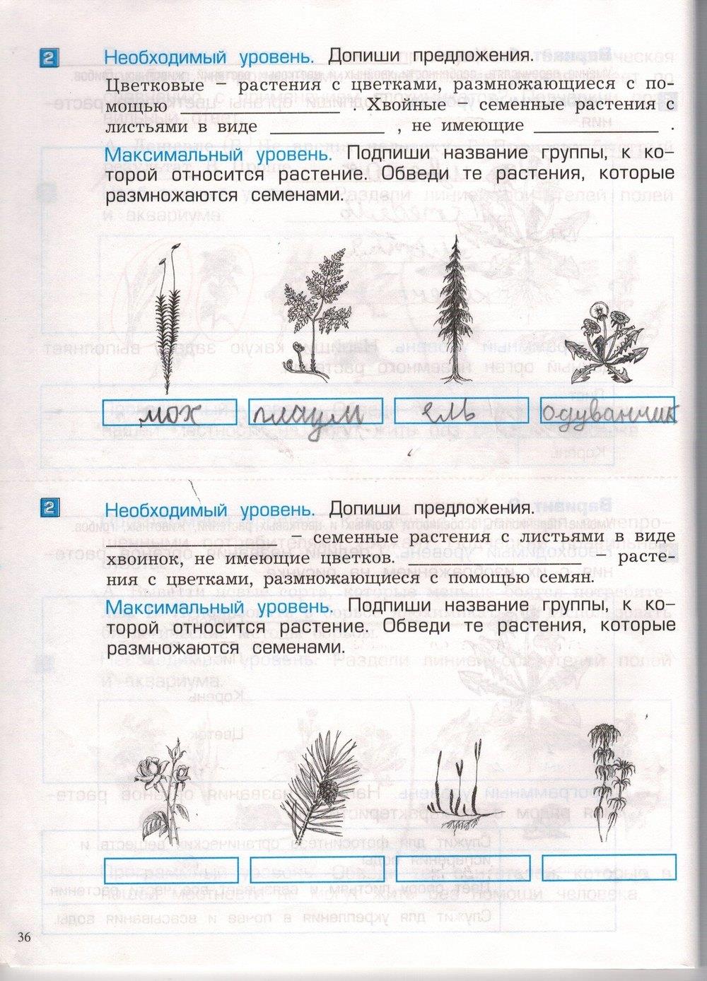 гдз 3 класс проверочные и контрольные работы часть 1 страница 36 окружающий мир Вахрушев, Бурский, Родыгина