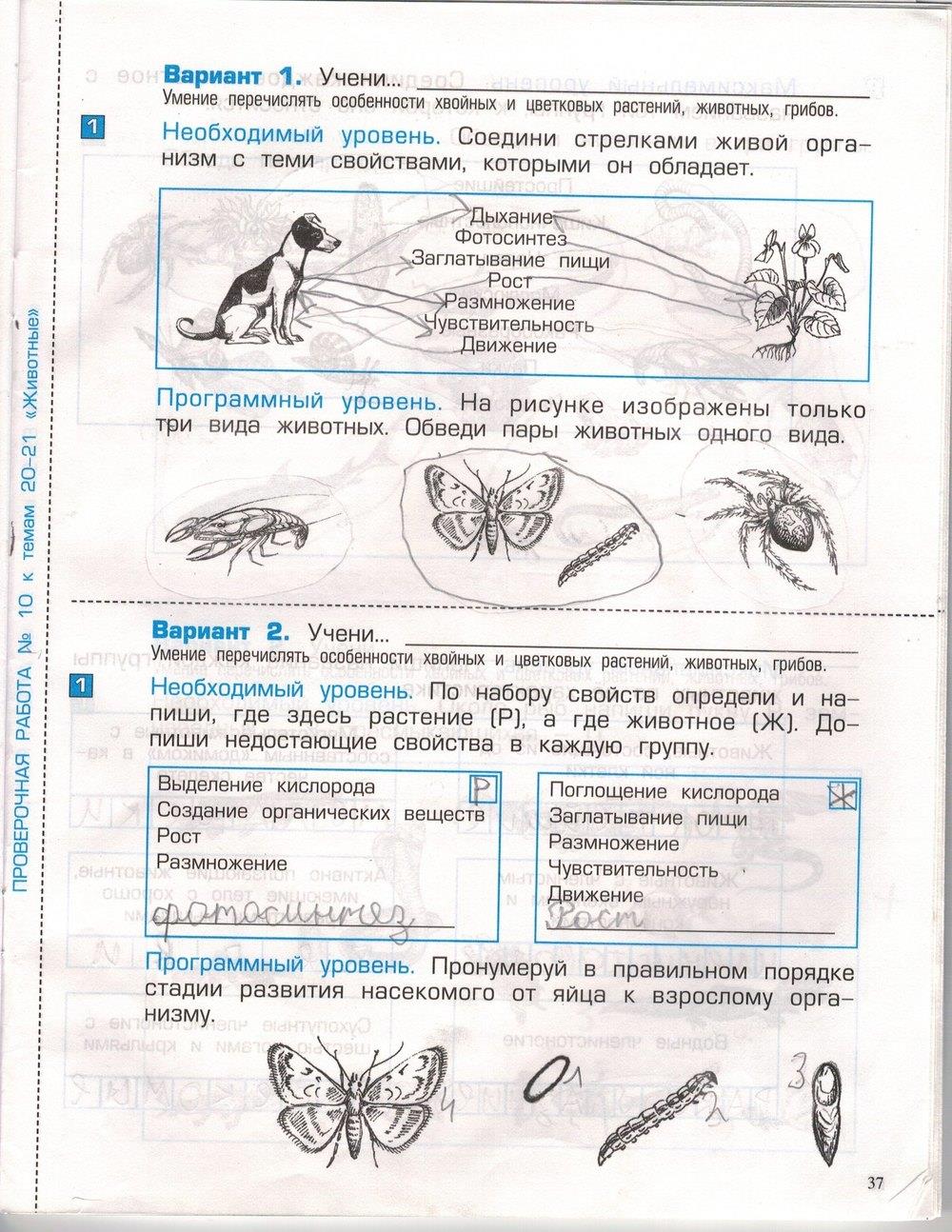 гдз 3 класс проверочные и контрольные работы часть 1 страница 37 окружающий мир Вахрушев, Бурский, Родыгина
