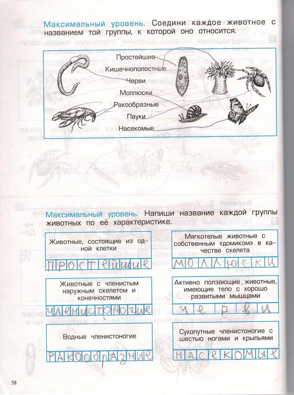 гдз 3 класс проверочные и контрольные работы часть 1 страница 38 окружающий мир Вахрушев, Бурский, Родыгина