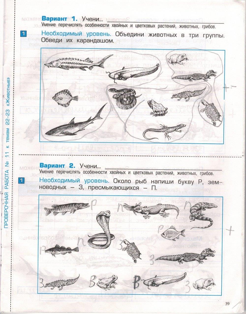 гдз 3 класс проверочные и контрольные работы часть 1 страница 39 окружающий мир Вахрушев, Бурский, Родыгина