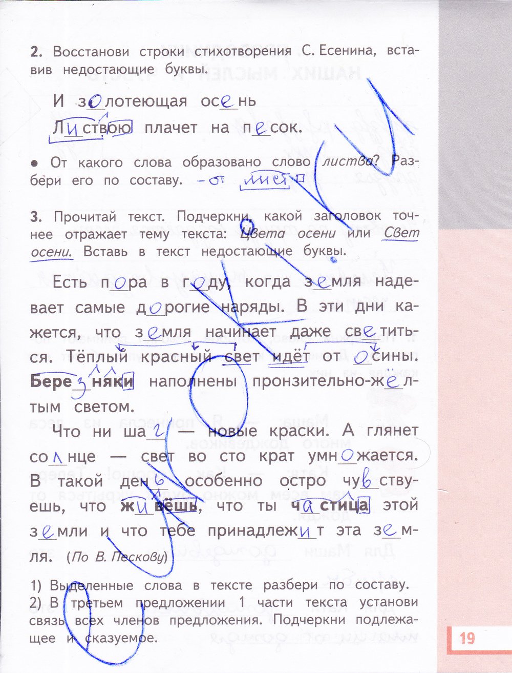 гдз 3 класс рабочая тетрадь часть 1 страница 19 русский язык Желтовская, Калинина