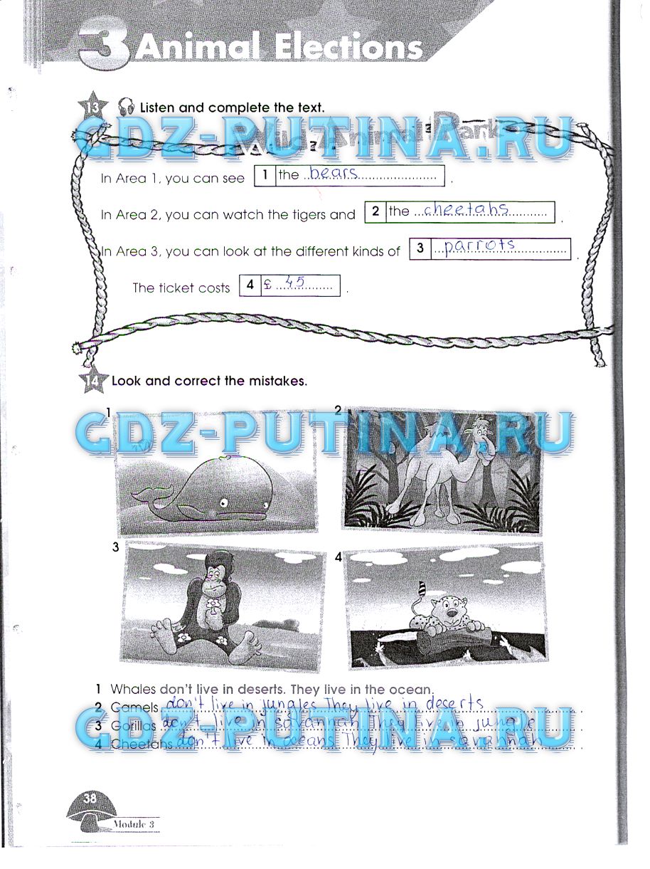 гдз 4 класс рабочая тетрадь часть 1 страница 38 английский язык Баранова, Дули