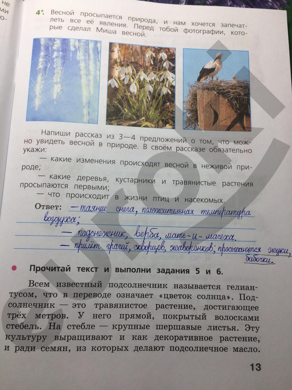 гдз 4 класс готовимся к всероссийской проверочной работе страница 13 окружающий мир Демидова